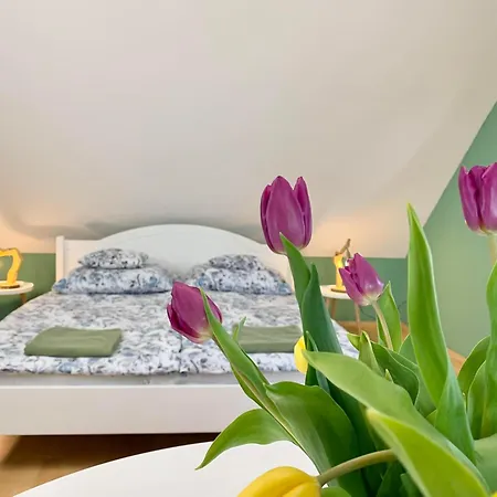 Casa de hóspedes Vazul Vászoly
