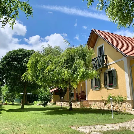 Vazul